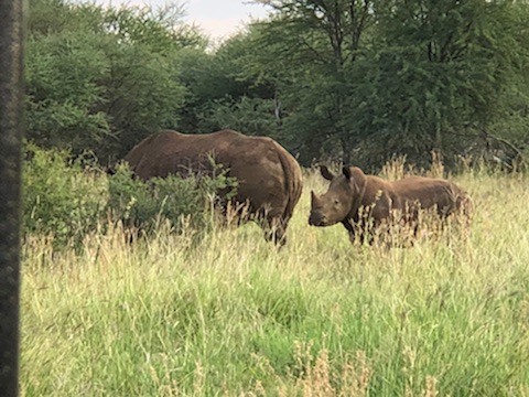 Black Rhino private game reserve